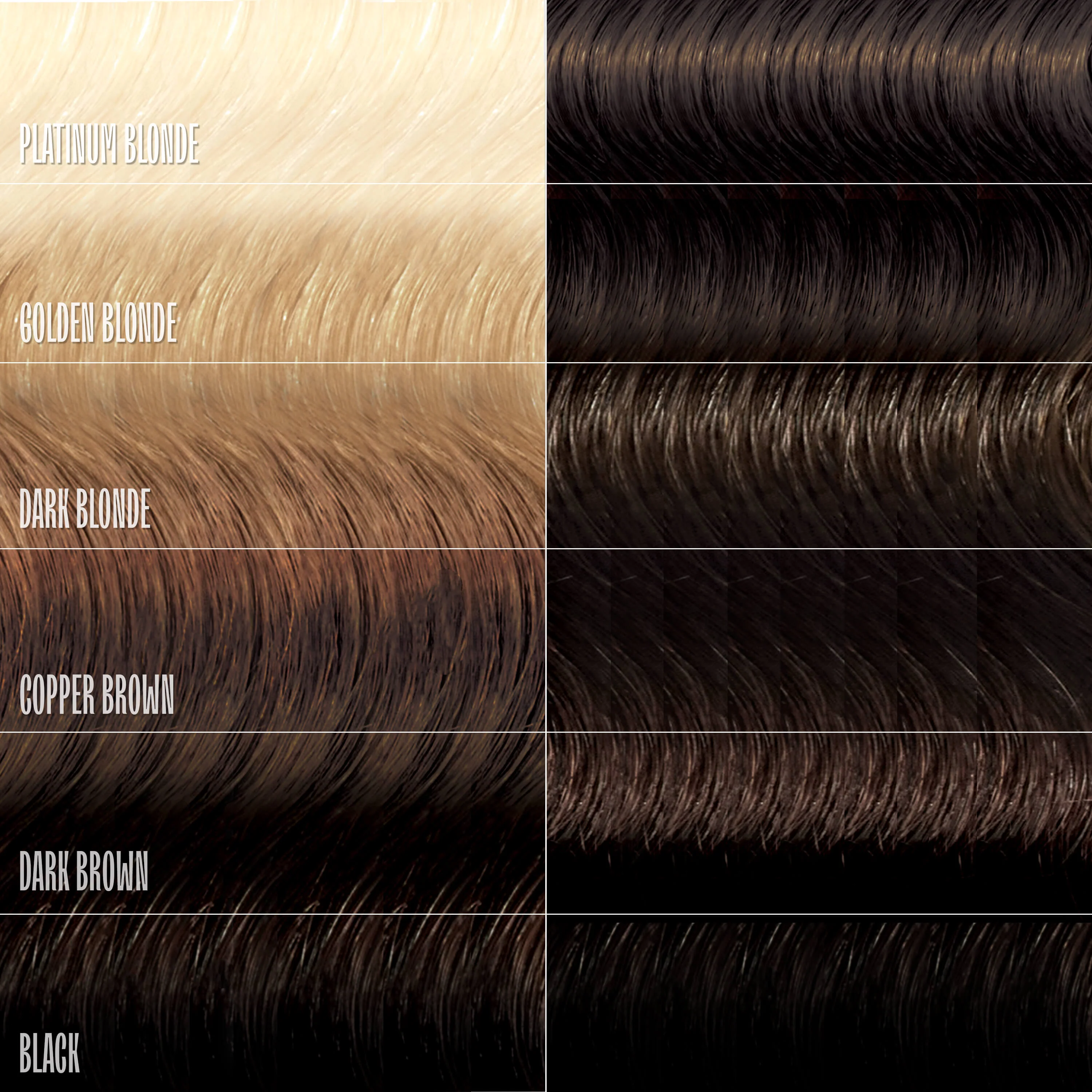 Chocolate Brown Healthy Color Duo - Image 5