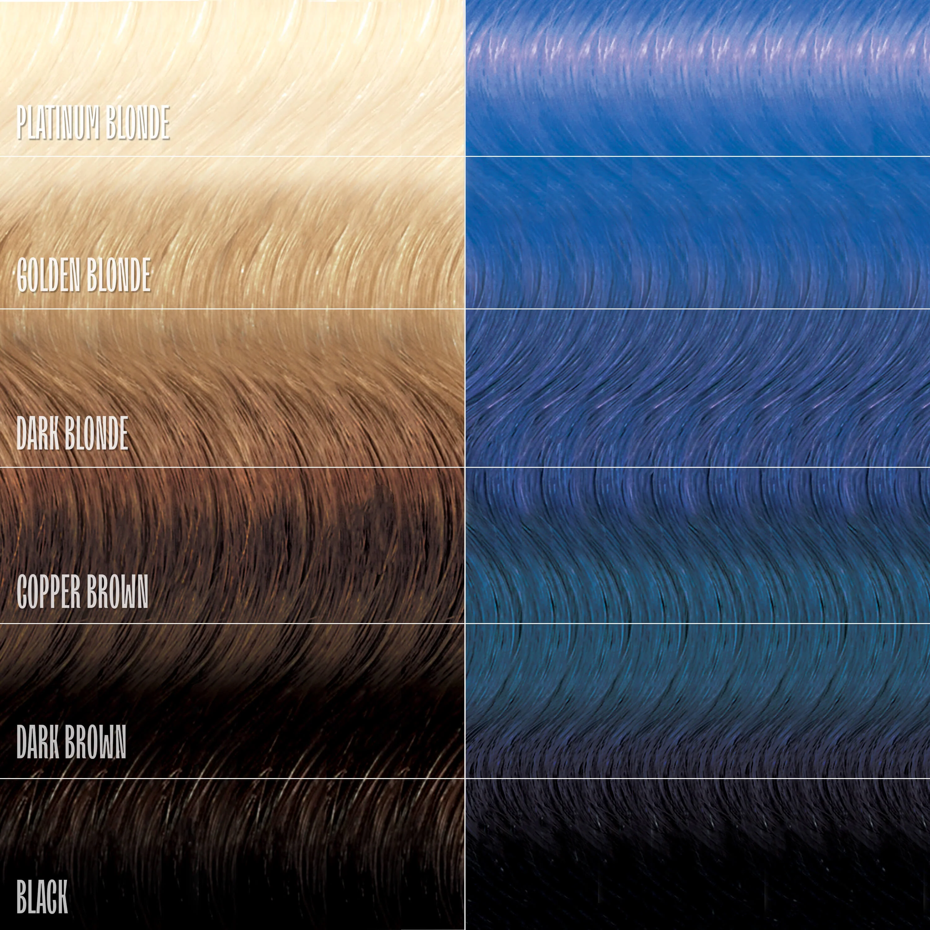 Cosmic Cobalt Healthy Color Duo - Image 4