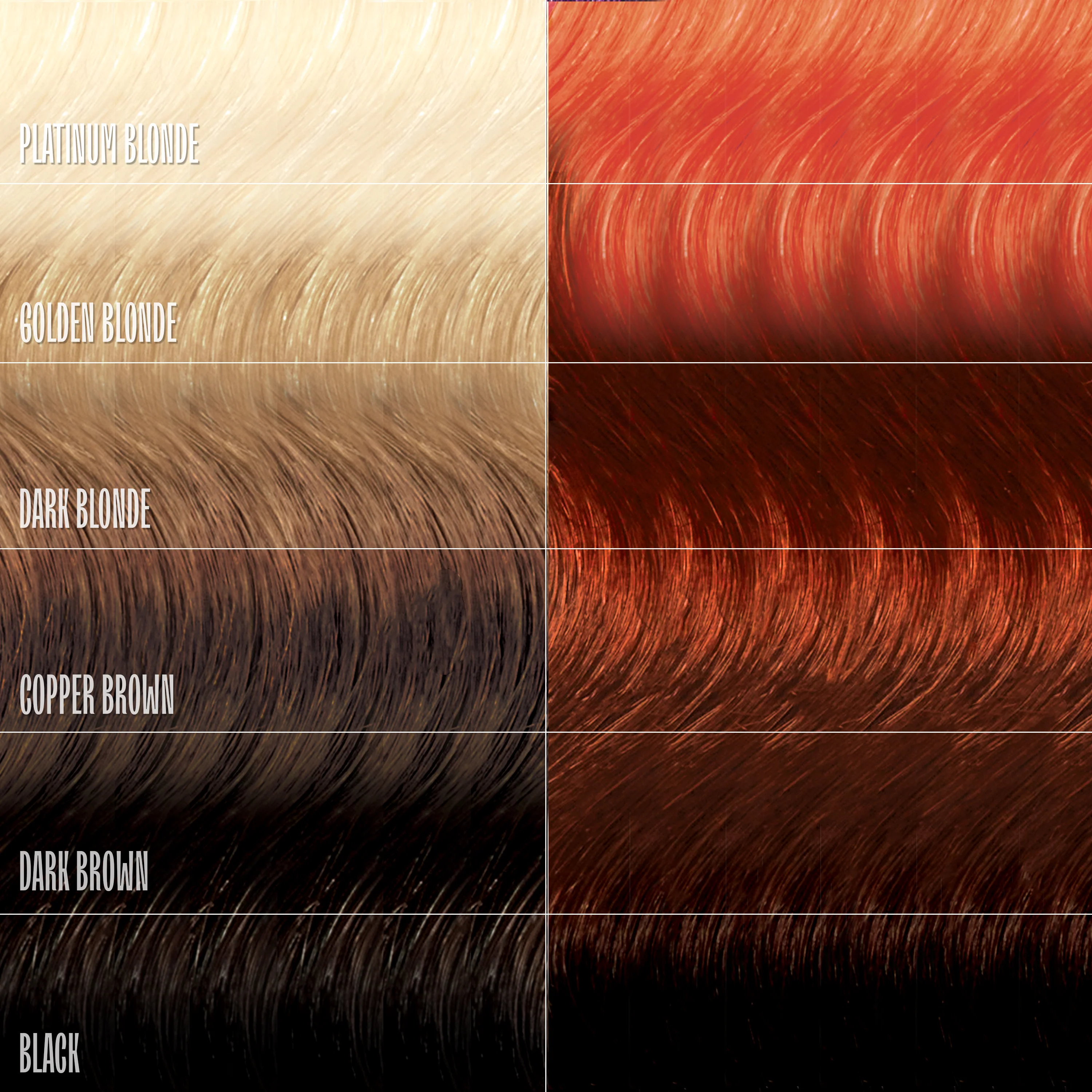Ginger Glow Healthy Color Duo - Image 5