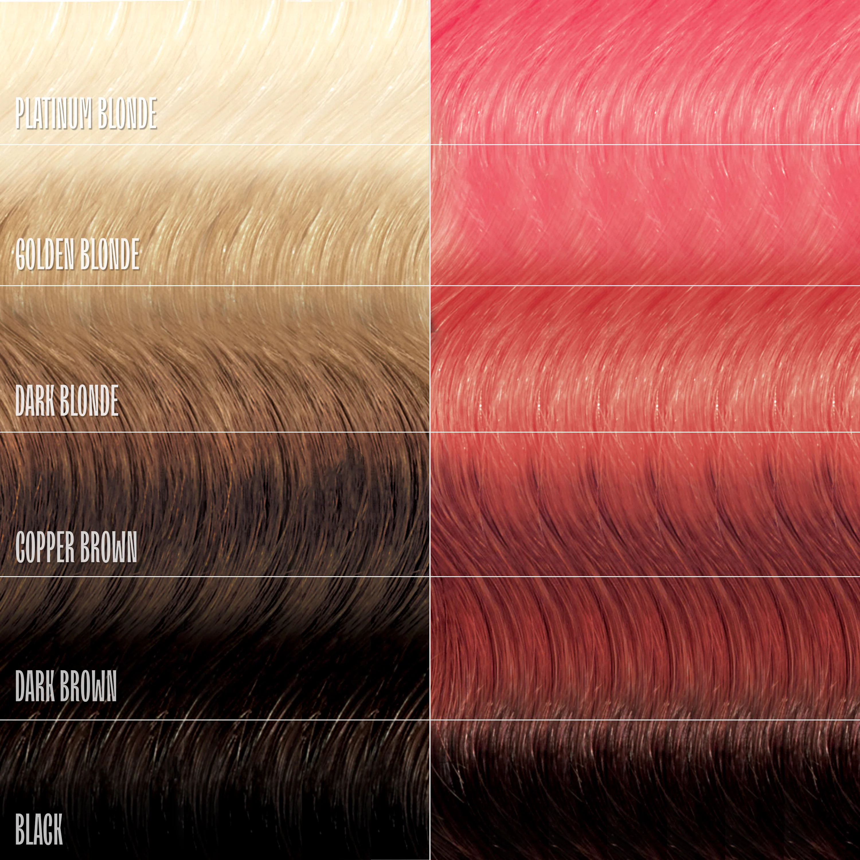 Golden Rose Healthy Color Duo - Image 5