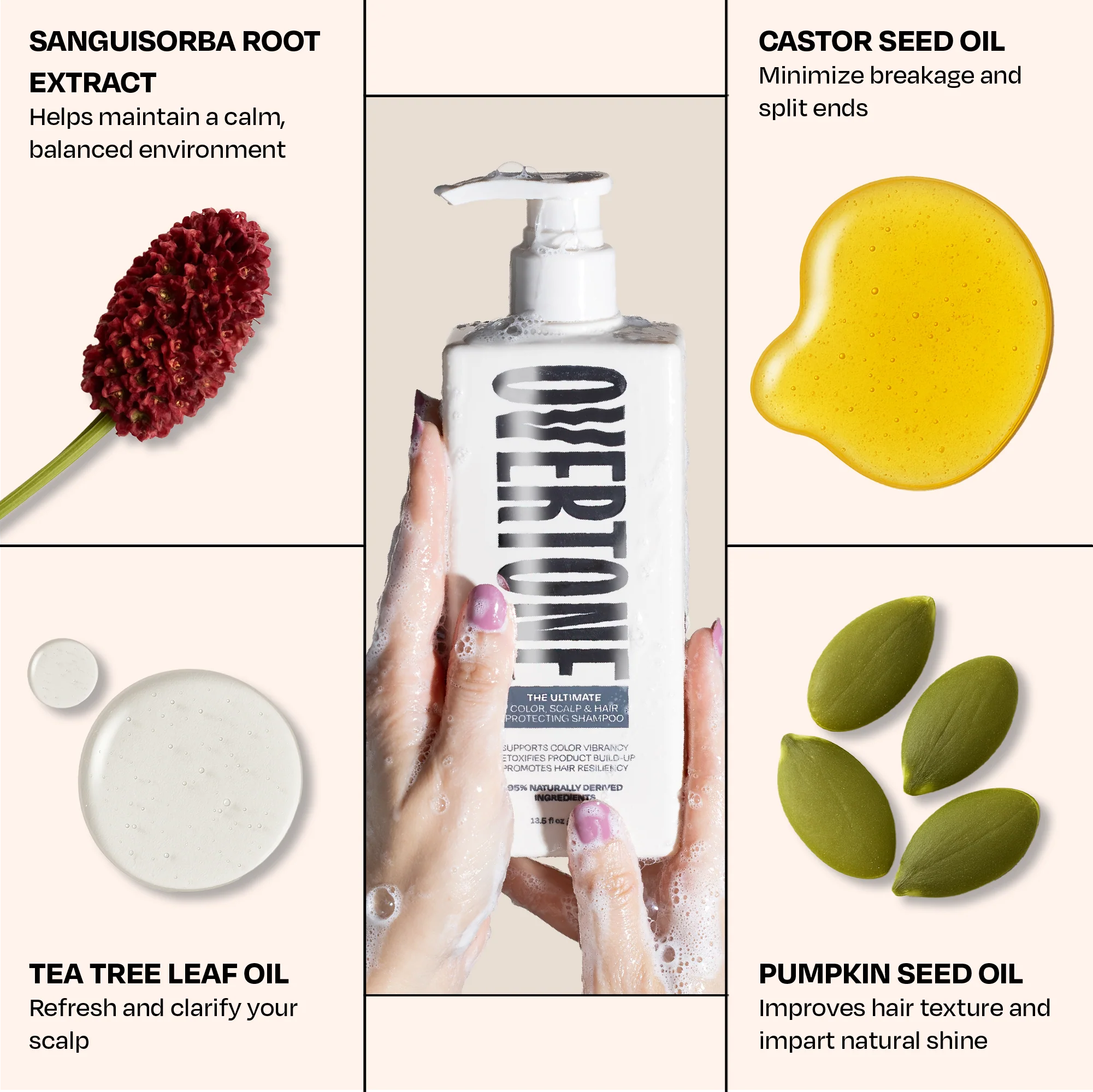 The Ultimate Color, Scalp, and Hair Protecting Shampoo - Image 5